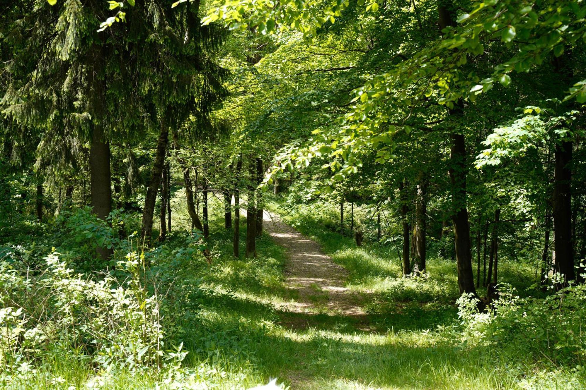 Ferienhaeuser Olbernhau Erzgebirge Exterior photo